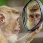 Mind Over Matters - Vimarsana News